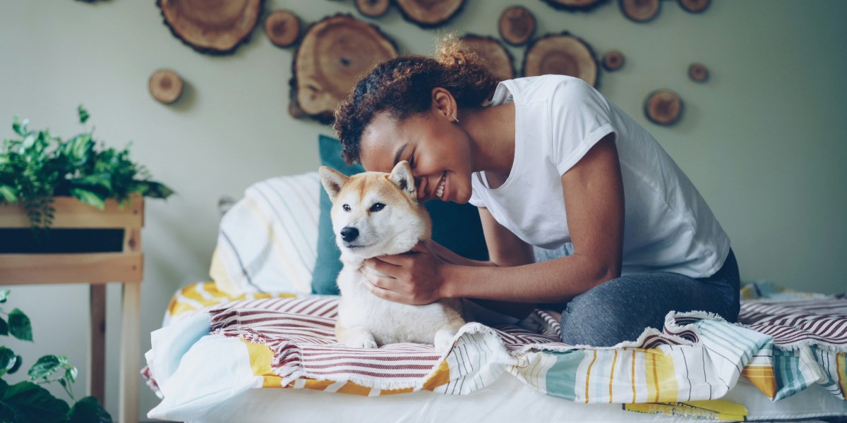 Should You Allow Pets in Your Rental Property? Pros and Cons for Landlords