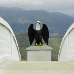 Why Choosing Eagle Concrete Products Ensures Long-Term Structural Integrity