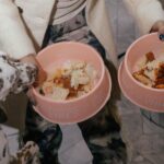 Aquarelle’s DOGGIE BRUNCH Is Setting a New Standard for Pet-Friendly Dining in NYC