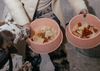 Aquarelle’s DOGGIE BRUNCH Is Setting a New Standard for Pet-Friendly Dining in NYC