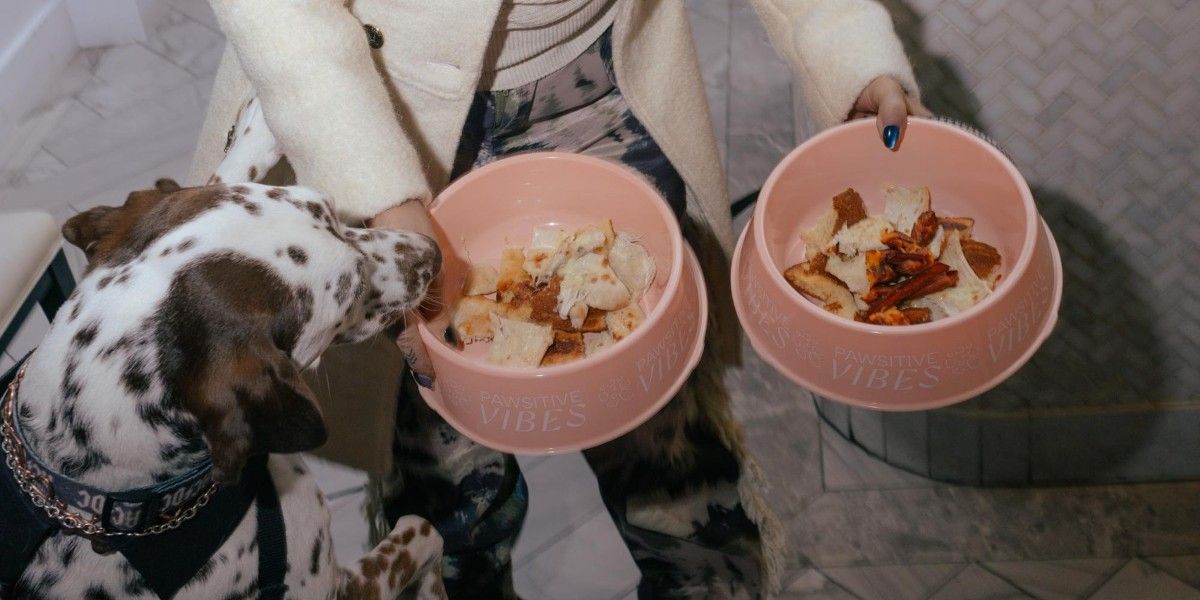 Aquarelle’s DOGGIE BRUNCH Is Setting a New Standard for Pet-Friendly Dining in NYC