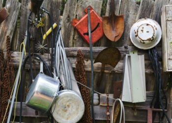 WORX: The Rise of Low-Maintenance Yard Tools and the Hidden Economics Behind Them