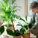 Why Digital Detoxing Is Crucial for Mental Clarity and Focus