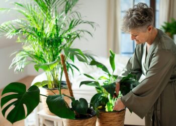 Why Digital Detoxing Is Crucial for Mental Clarity and Focus