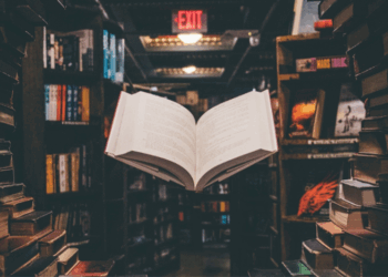 Bridging The Gap: Story Bridge Agency Reveals the Unwritten Rules That Turn Manuscripts into Masterpieces.