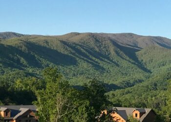 What Family Trips Look Like When Rules Take a Back Seat