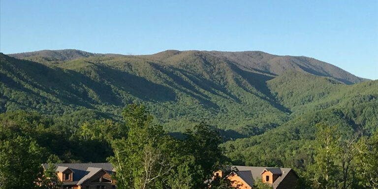 What Family Trips Look Like When Rules Take a Back Seat