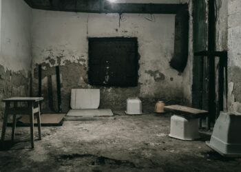 Basement Water Problems That Signal a Bigger Issue