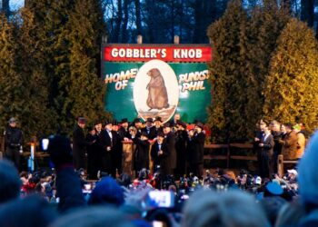 Groundhog Day How A Small Groundhog Became A Global Cultural Icon