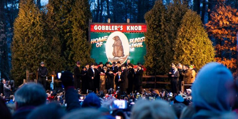 Groundhog Day How A Small Groundhog Became A Global Cultural Icon