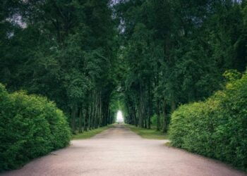 HDB’s Master Planning Framework Supports Long-Term Residential Value Along Tengah Garden Avenue