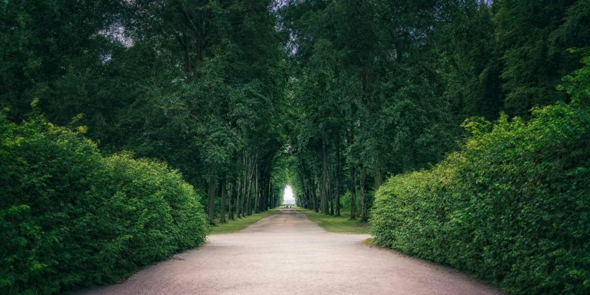 HDB’s Master Planning Framework Supports Long-Term Residential Value Along Tengah Garden Avenue