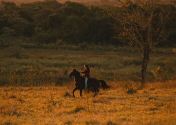 Horseback Safaris in Botswana – Riding Through the Delta in Style