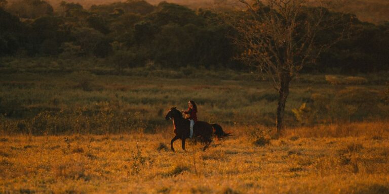 Horseback Safaris in Botswana – Riding Through the Delta in Style