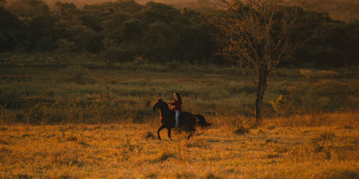 Horseback Safaris in Botswana – Riding Through the Delta in Style