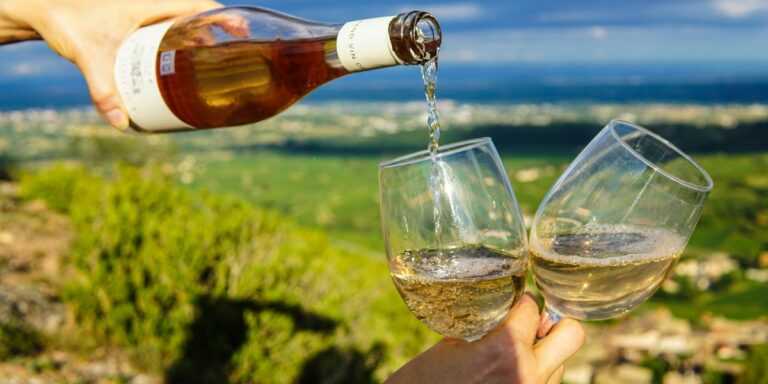 How to Choose the Ideal Napa Gifts for Wine Lovers