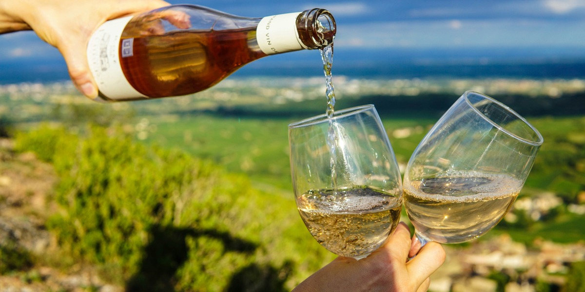 How to Choose the Ideal Napa Gifts for Wine Lovers