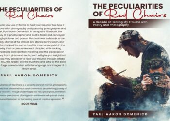 The Peculiarities of Red Chairs: A Decade of Poetry and Photography by Paul Aaron Domenick