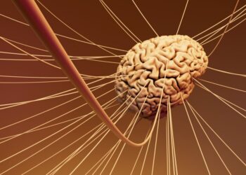 Understanding Vagus Nerve Stimulation: How It Works and Why It Matters