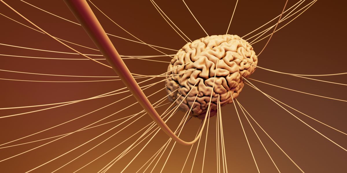 Understanding Vagus Nerve Stimulation: How It Works and Why It Matters