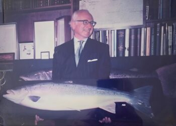 Leigh Seippel and the Human Weight of Collapse in Ruin