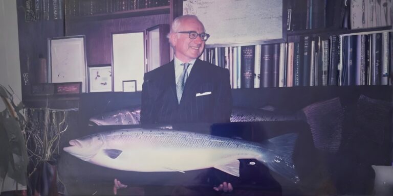 Leigh Seippel and the Human Weight of Collapse in Ruin