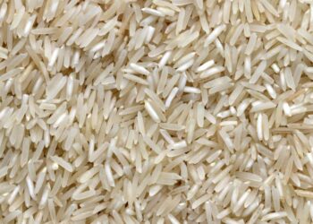 One Appliance, Infinite Meals: Why a High-Quality Rice Cooker is a Kitchen Essential