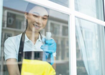 Green Methods for Streak-Free Surface Care