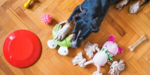 BULLYMAKE's Guide to Enrichment Toys for Heavy Chewers