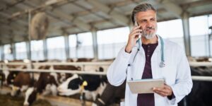 Custom Healthcare Software for Rural Health