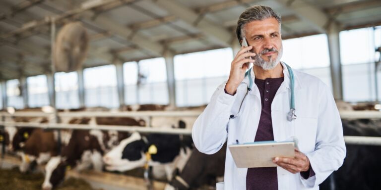 Custom Healthcare Software for Rural Health