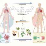 Six Yuan-Developed TCM Standards in National Catalog, Raising Standardization 40%