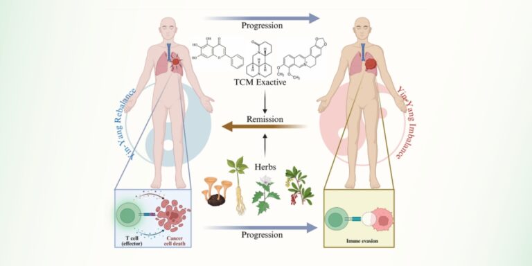 Six Yuan-Developed TCM Standards in National Catalog, Raising Standardization 40%