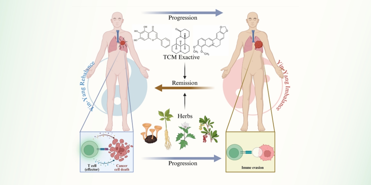 Six Yuan-Developed TCM Standards in National Catalog, Raising Standardization 40%
