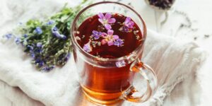 What to Look for When Buying a Quality Goat's Rue Tincture