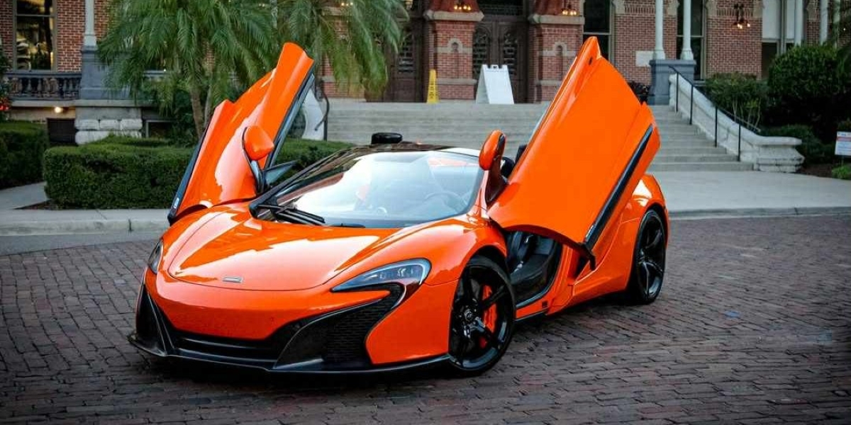 Adriatic Bay Exotics Is Turning Tampa Into the Monaco of Florida’s Gulf Coast