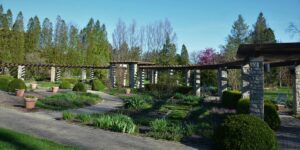 5 Design Trends Defining Modern Garden Annexes in 2026