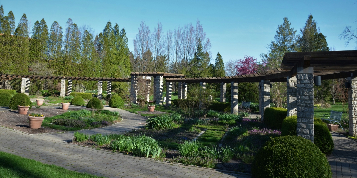 5 Design Trends Defining Modern Garden Annexes in 2026