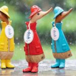 DCUK Wooden Ducks Are Impossible to Find