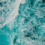 Why Protecting Our Oceans Matters for Future Generations