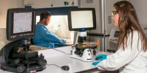 Cell Counting Is Not a Commodity: Hidden Sources of Variability in Quantitative Cell Analysis