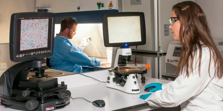 Cell Counting Is Not a Commodity: Hidden Sources of Variability in Quantitative Cell Analysis