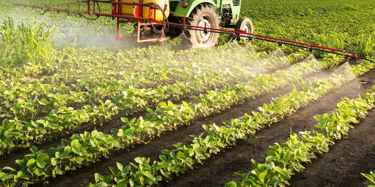 The Rising Popularity of Organic Hydrosols