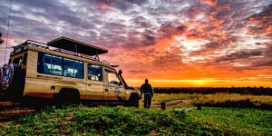 Tanzania Safaris and Mount Kilimanjaro Climbing Trips