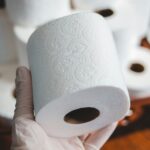 What is the Ideal Toilet Paper for House Plumbing A Comprehensive Guide