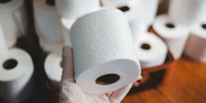 What is the Ideal Toilet Paper for House Plumbing A Comprehensive Guide