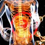 What to Do When Gut Health May Be Driving Ongoing Women’s Health Symptoms