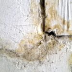 Why Brooklyn Water Damage Restoration Needs Faster Response in Multifamily Buildings