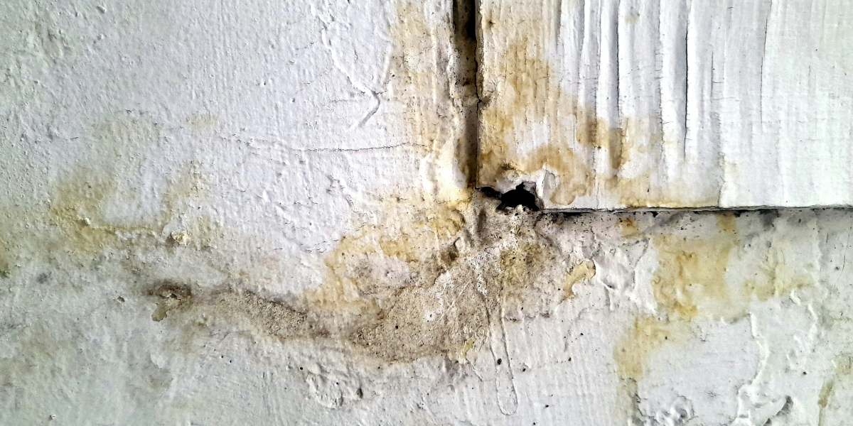 Why Brooklyn Water Damage Restoration Needs Faster Response in Multifamily Buildings