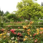 Understanding San Antonio Botanical Garden Hours: A Comprehensive Guide for Visitors